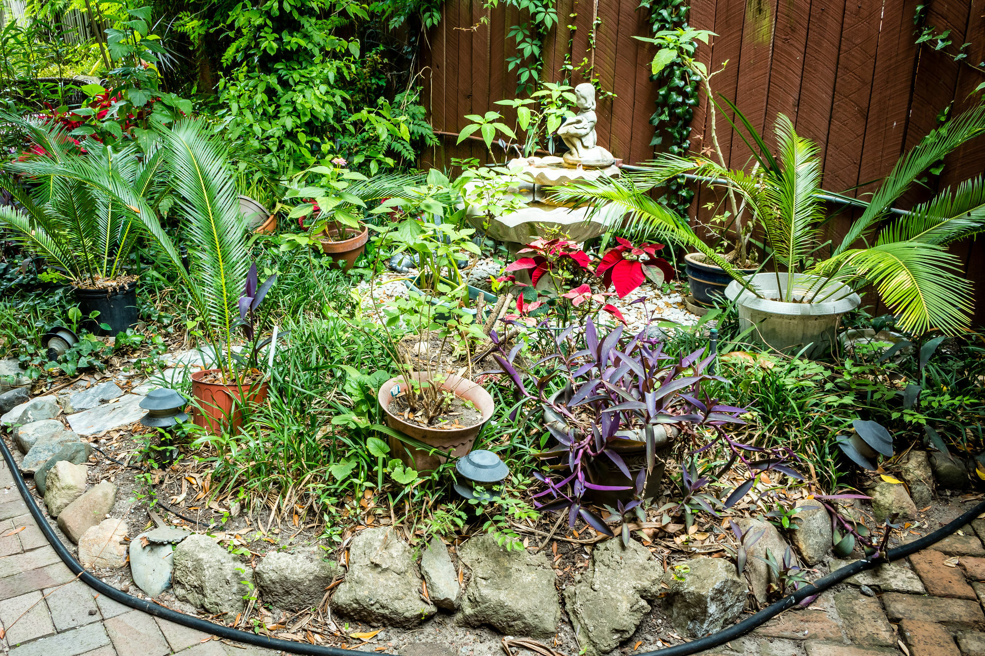 Amethyst Garden Bed & Breakfast Савана Екстериор снимка